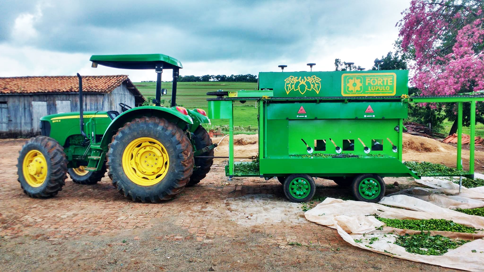 53566800_179725096329106_574138244443144192_o-min