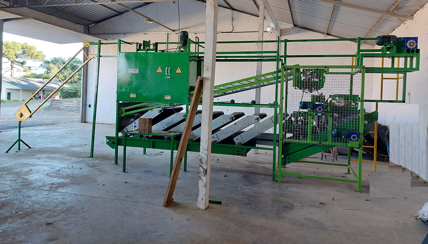 Peladora de Lúpulo PLF 240 - 2