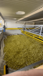 Secadora de lúpulo 3000 - 3